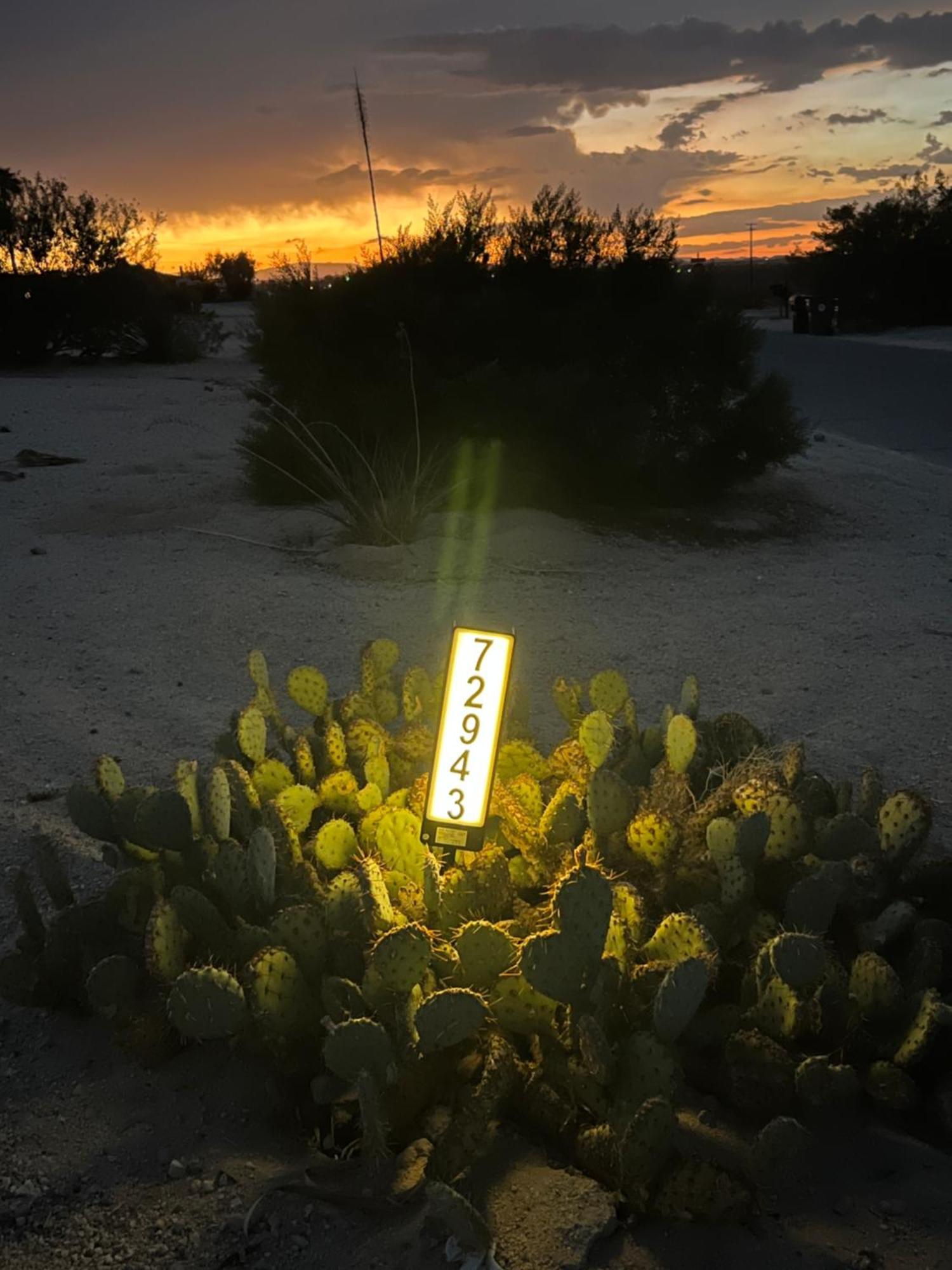 Bodhi House, Joshua Tree National Park Twentynine Palms Exterior foto